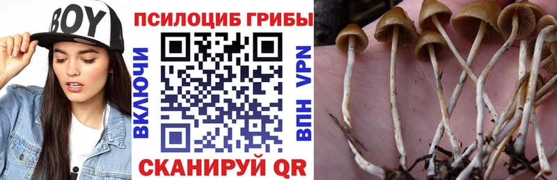 Галлюциногенные грибы MAGIC MUSHROOMS Змеиногорск